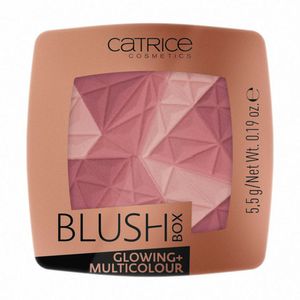 Rubor Catrice blush box tono 20 x5g