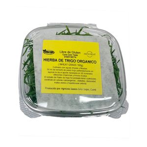 Micro verde de trigo orgánico Microgreens x 50g