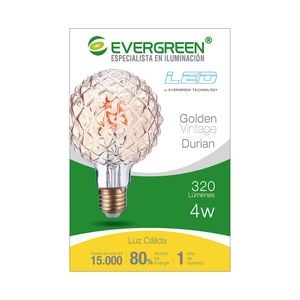 Bombillo Led Evergreen Durian Filamento 4W Luz Cálida E27