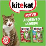 Formatos-actualizacion