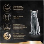 Formatos-actualizacion