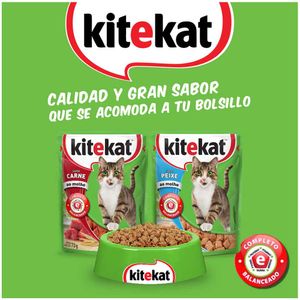 Alimento Kitekat húmedo gato sabor pescado x70gr
