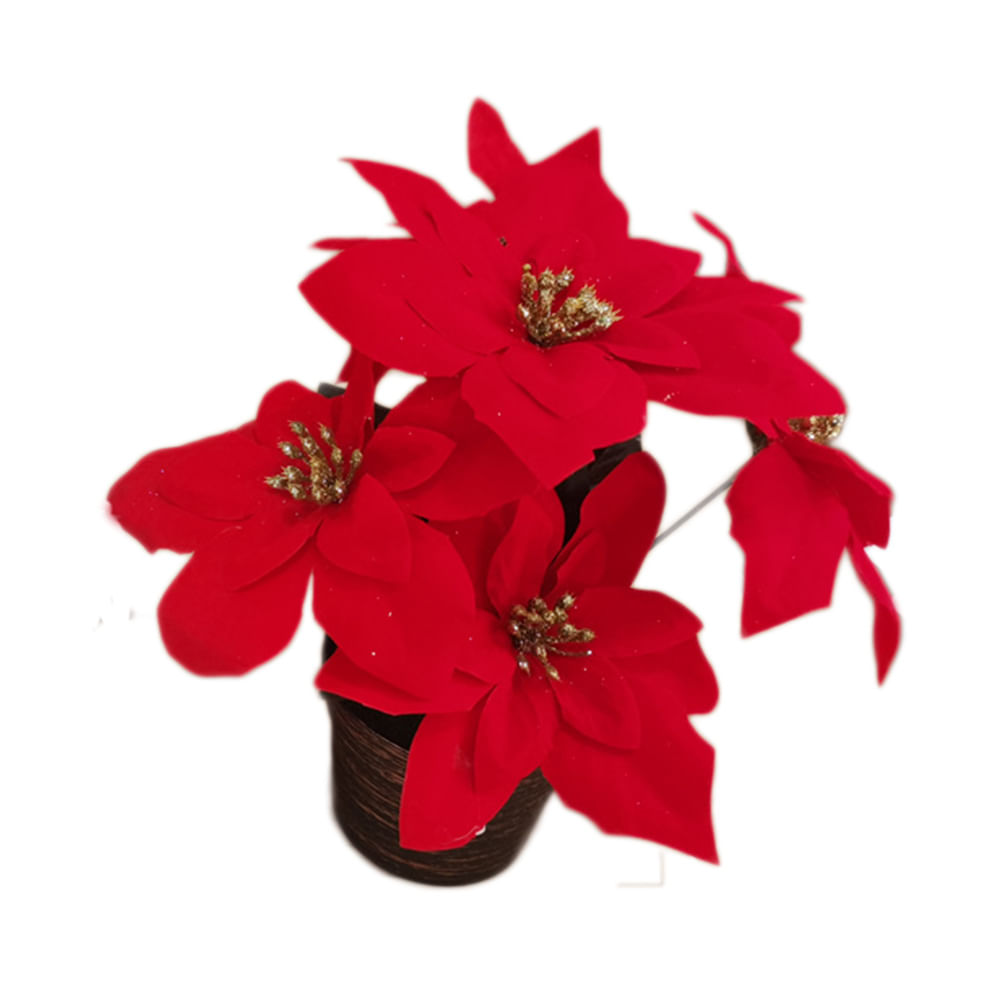 Poinsettia en maceta 2 Colores Krea Tiendas Metro