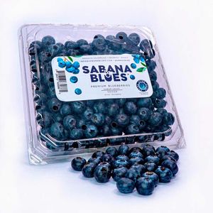 Arándano Sabana Blues x500gr