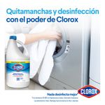 CLOROX