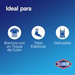 CLOROX