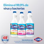 CLOROX