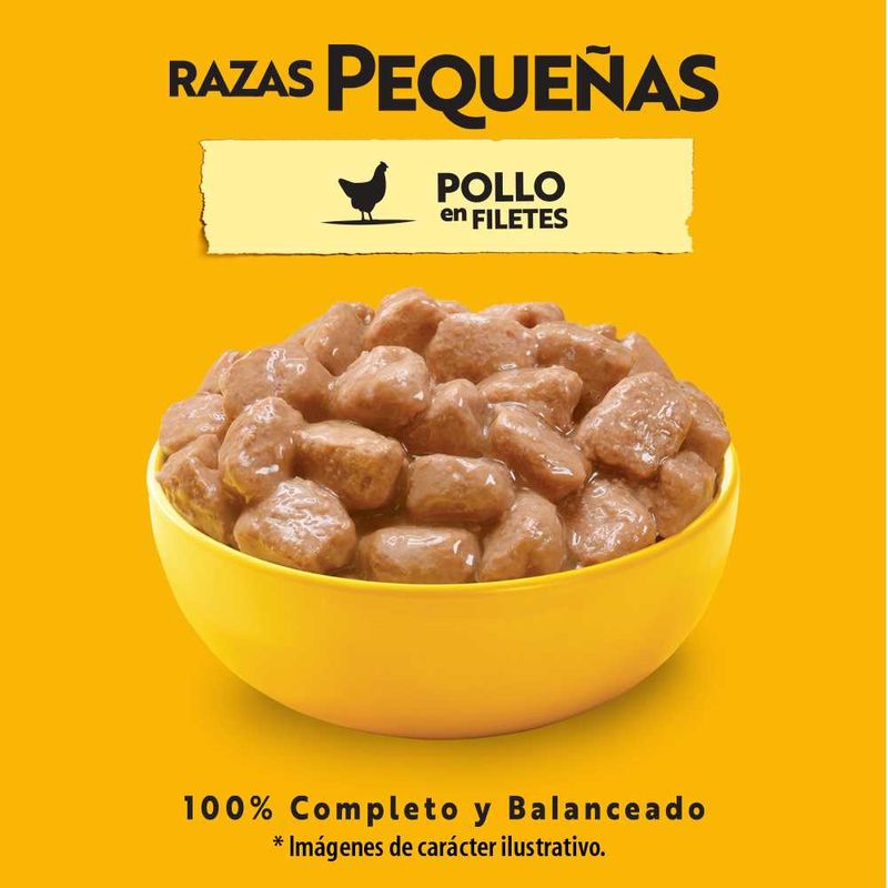 Pedigree alimento húmedo para perro raza pequeña pollo sobre 100 g