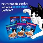 Alimento-humedo-para-gato-Felix