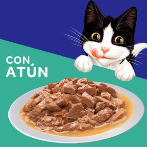 Alimento húmedo para gatos Felix atún en salsa x85g