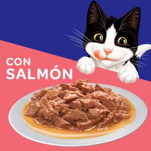 Alimento húmedo para gatos Felix salmón en salsa x85g