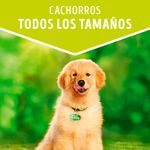 PURINA-MAYO