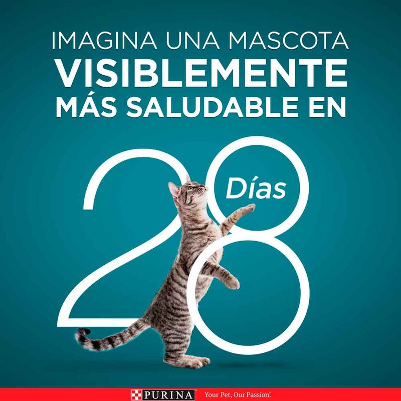 Alimento húmedo para gatos Purina One Esterilizados salmón x85g