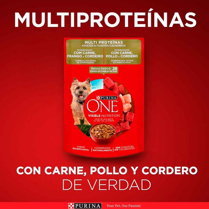 PURINA-MAYO