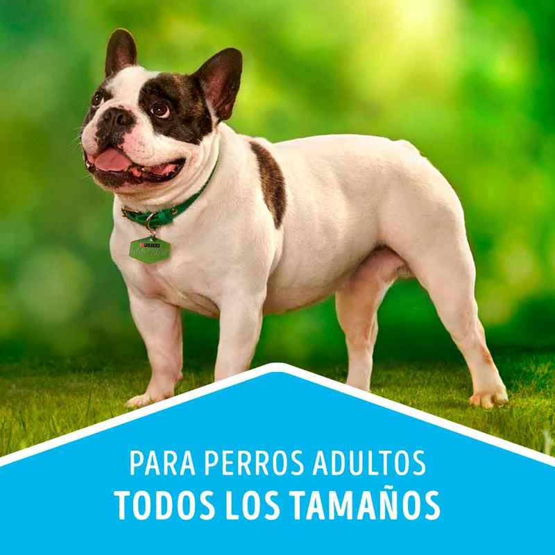 PURINA-MAYO