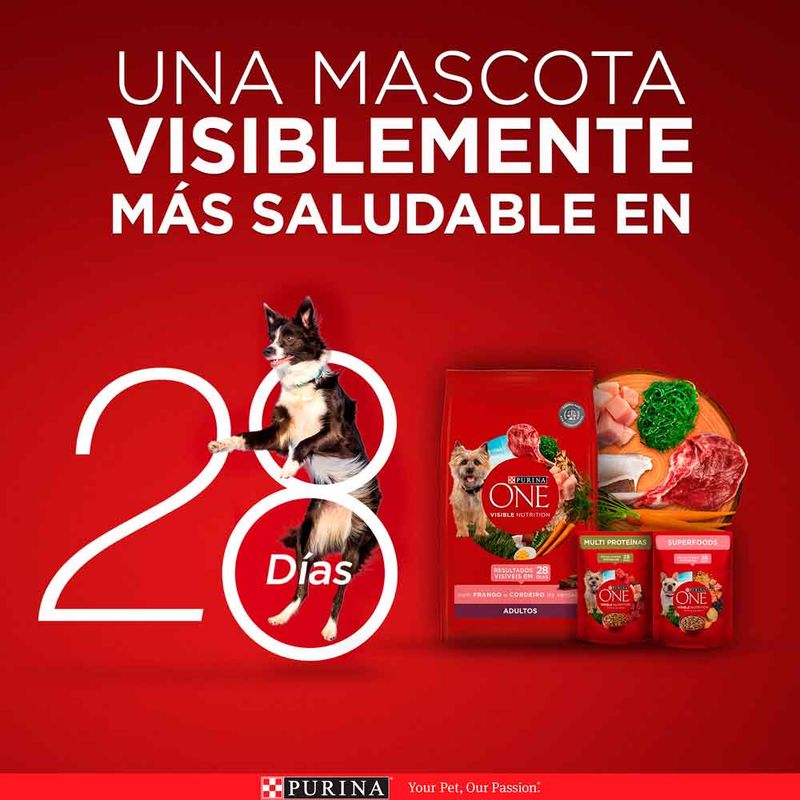 PURINA-MAYO