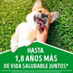 PURINA-MAYO