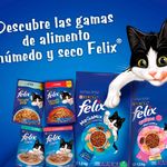 PURINA-MAYO