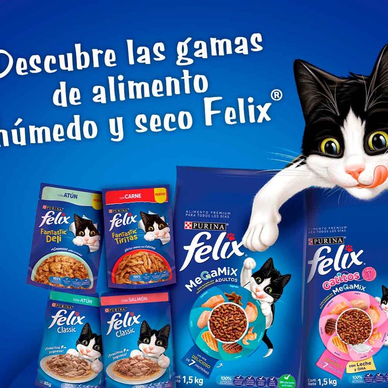 PURINA-MAYO