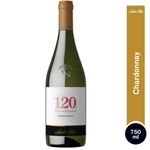 Vino-blanco-Santa-Rita-120