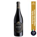 Vino-Tinto-Zonin-Amarone-della