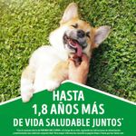 ACT-PURINA