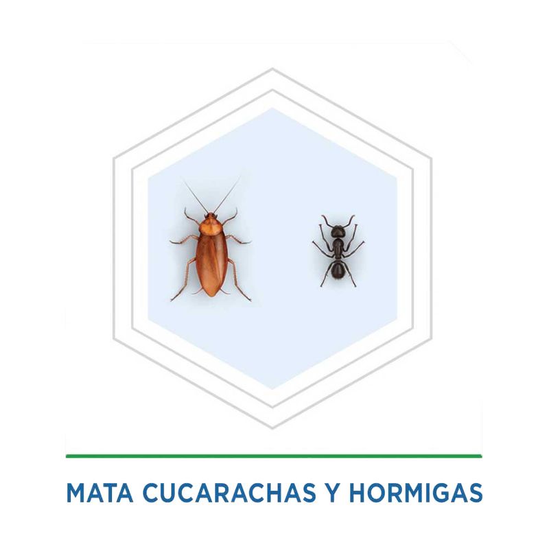 Insecticida Raid Max trampas cucarachas x4und x2.5g - Tiendas Metro