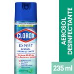 CLOROX