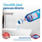 CLOROX