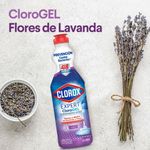 CLOROX