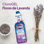 CLOROX