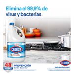 CLOROX