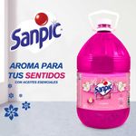 SANPIC