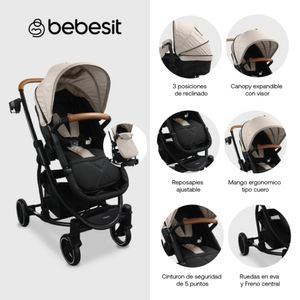 Coche Tipo Moises Prima Bebesit Beige