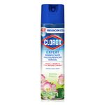 CUIDADO-DE-HOGAR