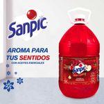 SANPIC