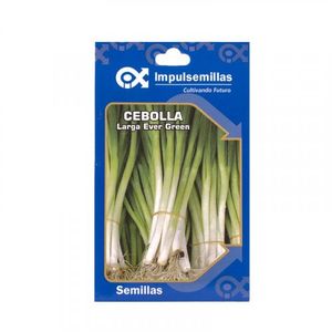 Semilla Hortaliza Cebolla Larga x2g