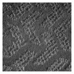 image-bc92f882c82f402ca619d81206ee72b2