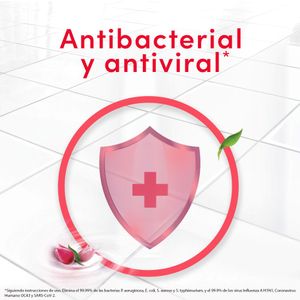 Limpia Pisos Fabuloso Frescura Antibacterial Floral x3L