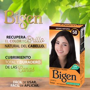 Tinte Bigen tono  58 negro natural x6gr