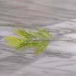 image-de895e67b3a5402ab65bb315997f2e36